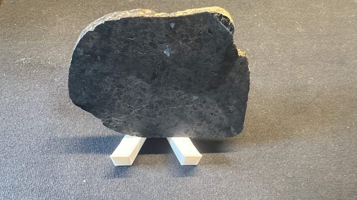"Bisonite" Slab