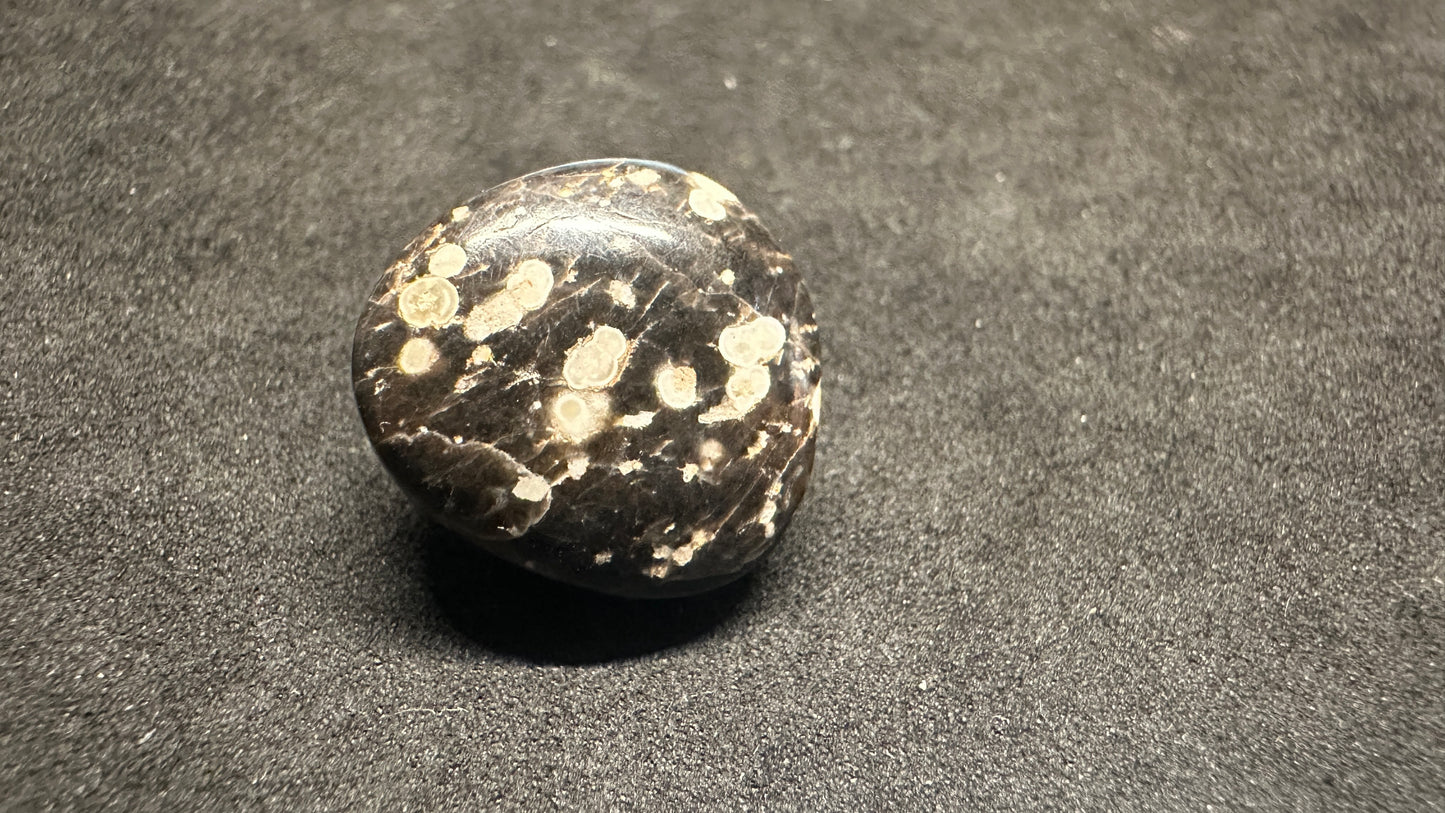 Spencer Galaxy Obsidian Cab