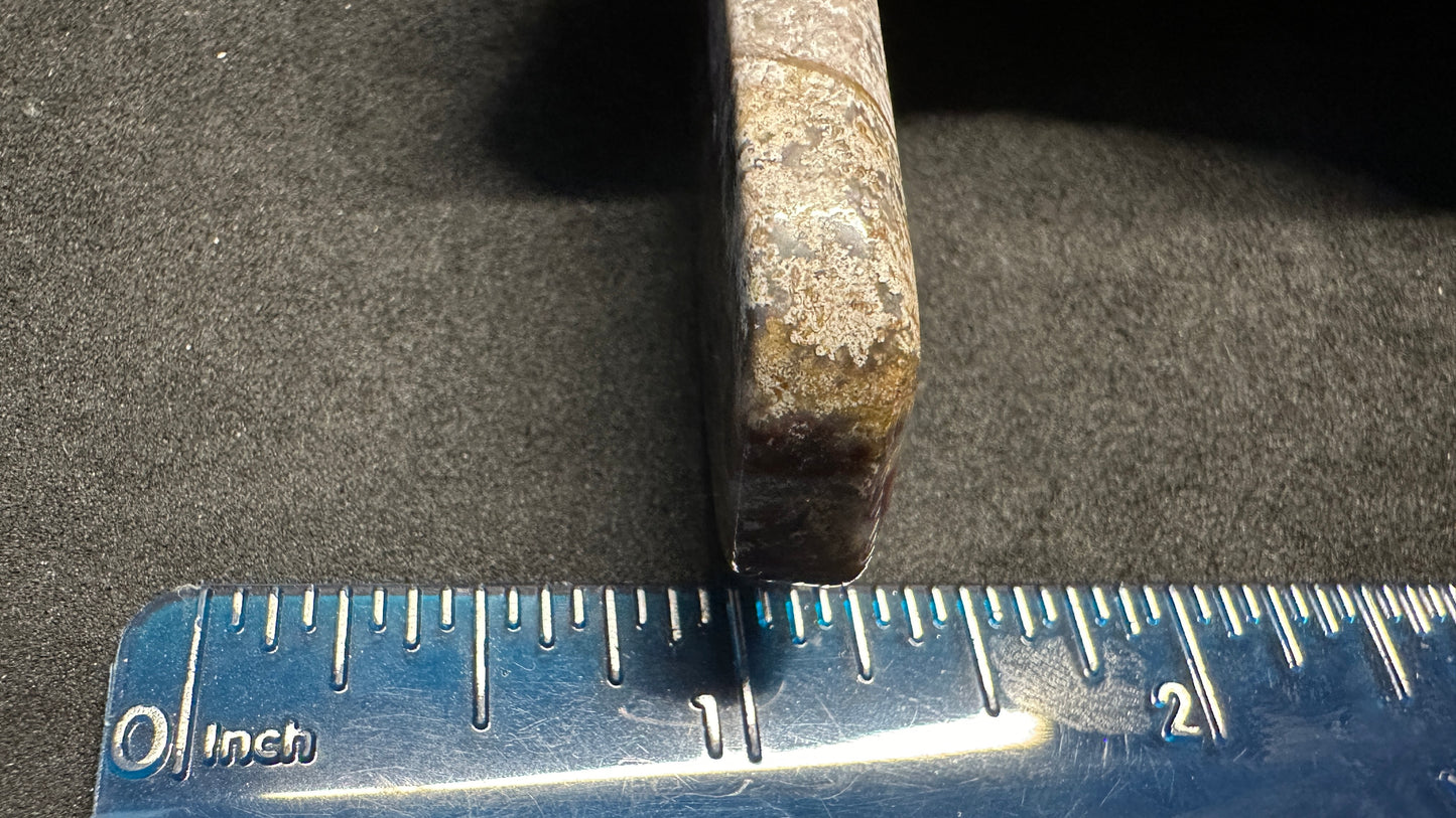 FreeForm Lace Agate Cab