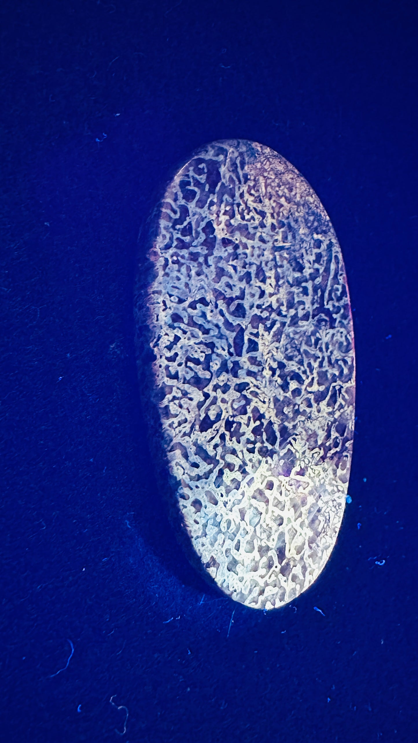 Dino Bone, The Sunlight Flash Oval Cab