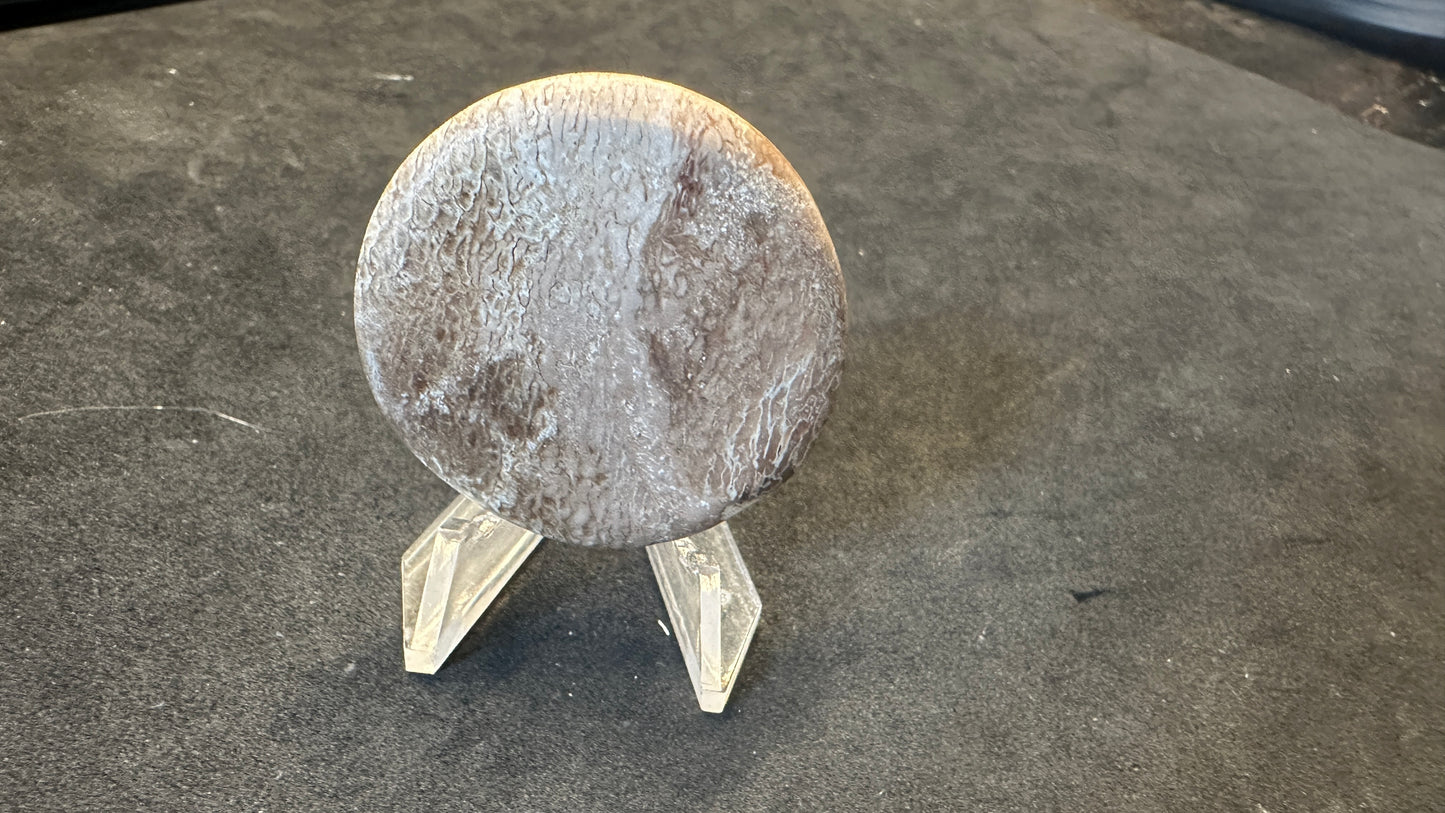 Round Dino Bone Cab