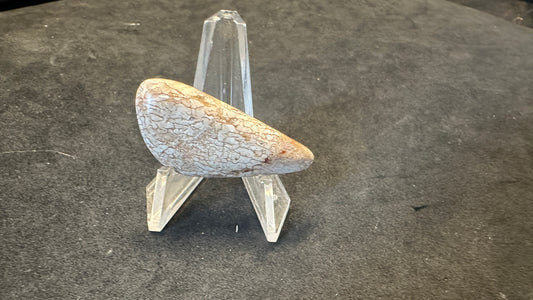 Wonky Triangle Dino Bone Cab