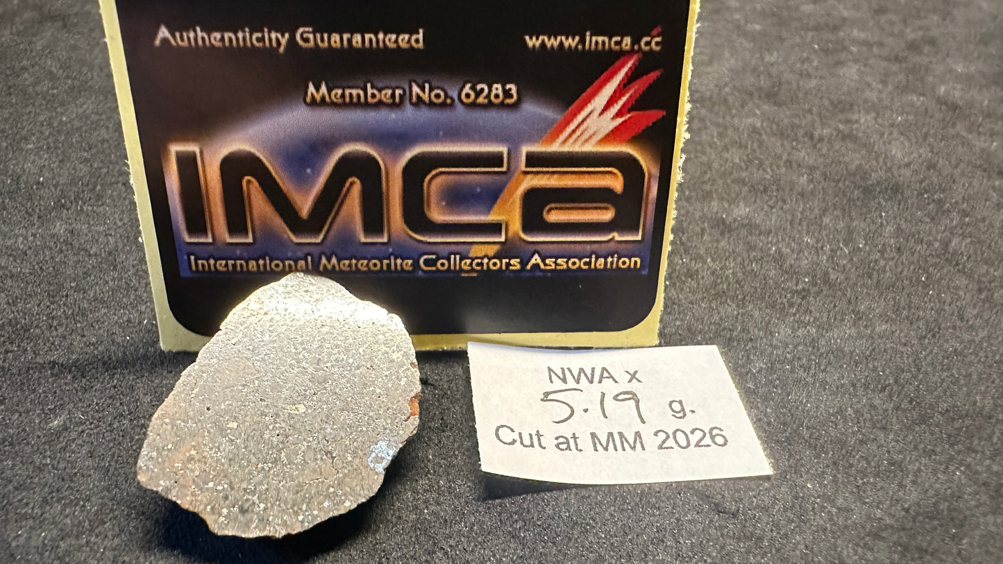 Little Meteorite Mansion Butt Cut