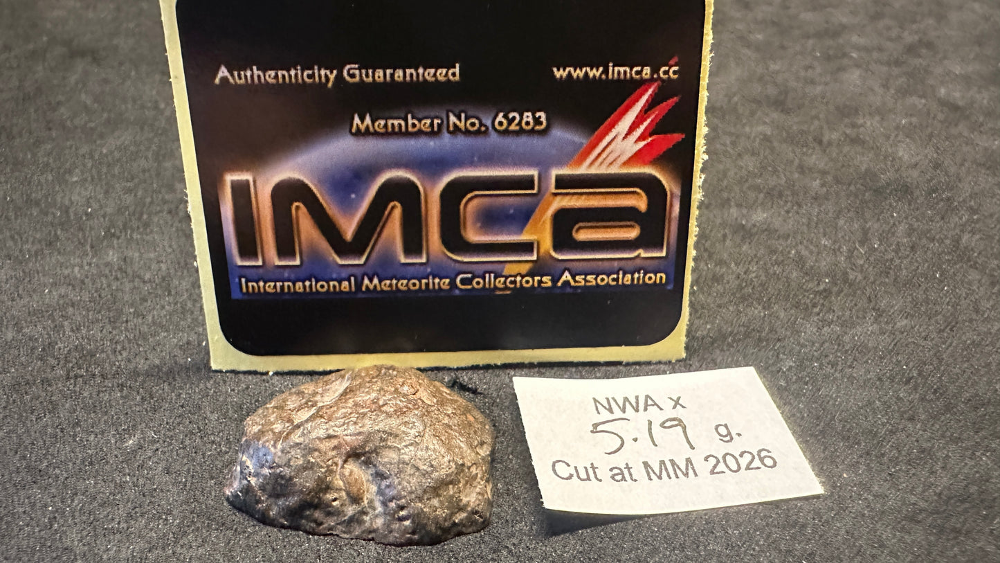 Little Meteorite Mansion Butt Cut
