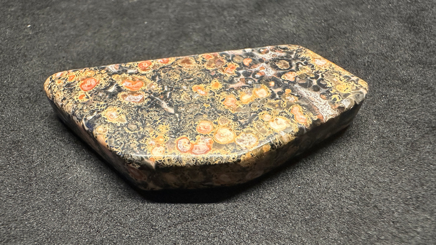 Leapord Jasper Cab
