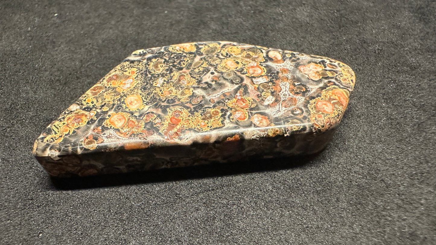 Leapord Jasper Cab