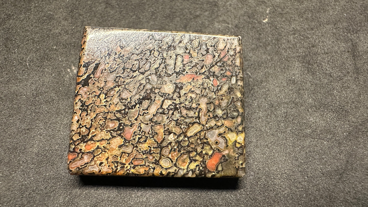 Agatized Dino Bone Cab