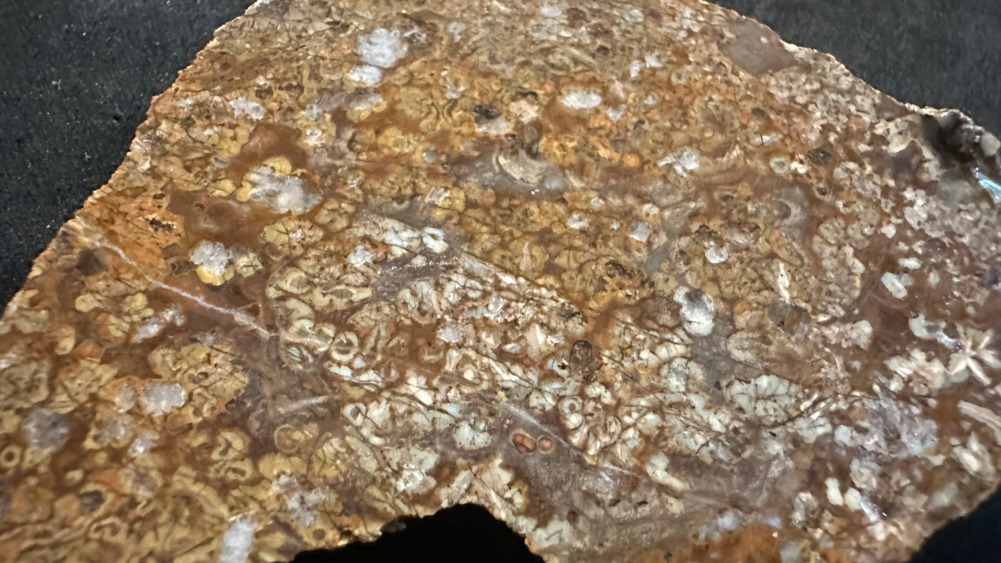 Little Fancy Feldspar Slab