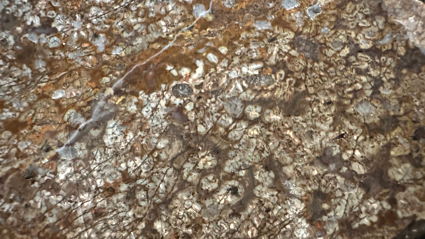 Big Fancy Feldspar Agate