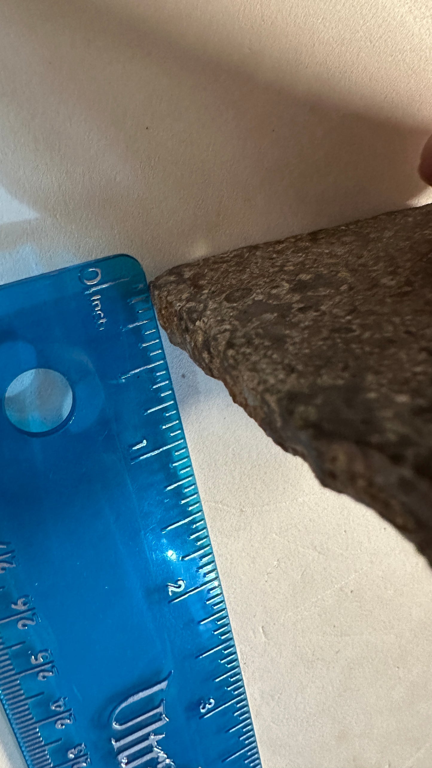 Little Fancy Feldspar Slab