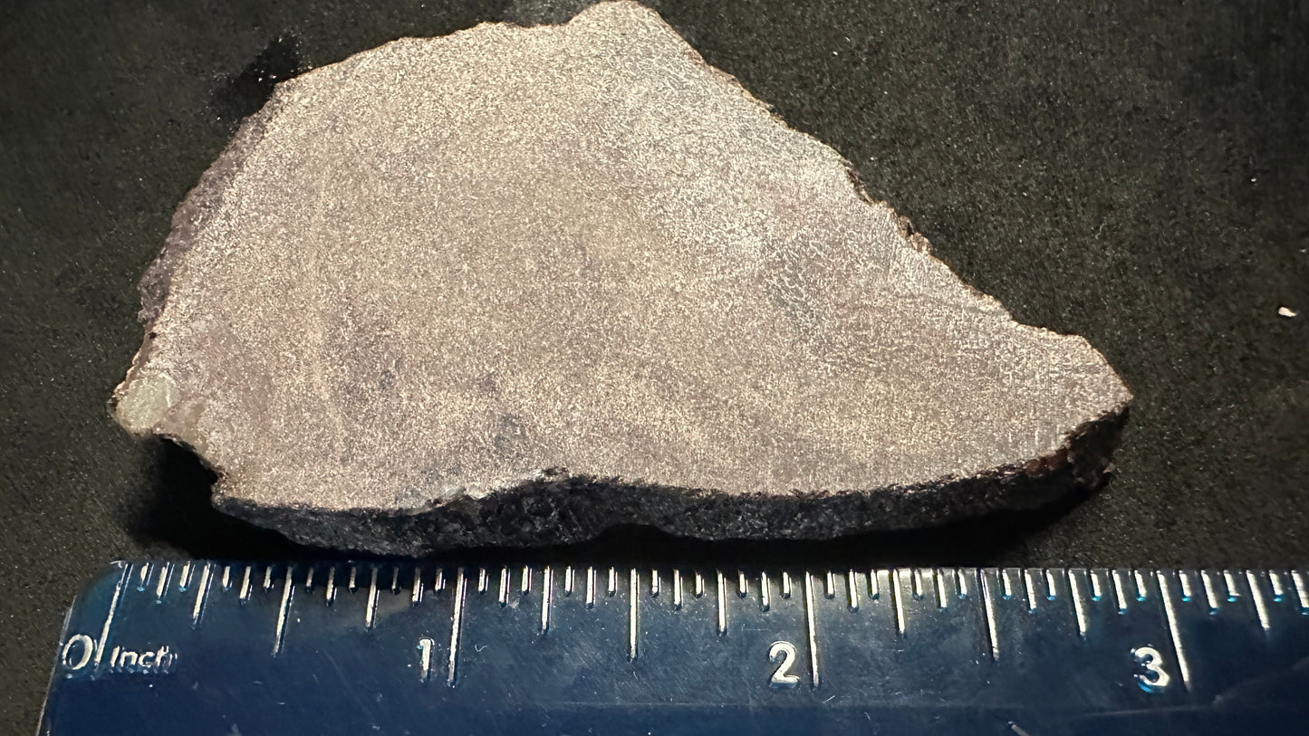 Small Cells Dino Bone Thick Slab