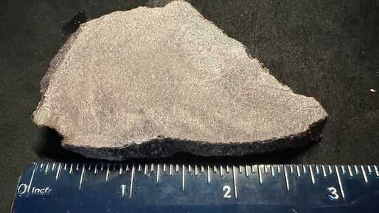 Small Cells Dino Bone Thick Slab