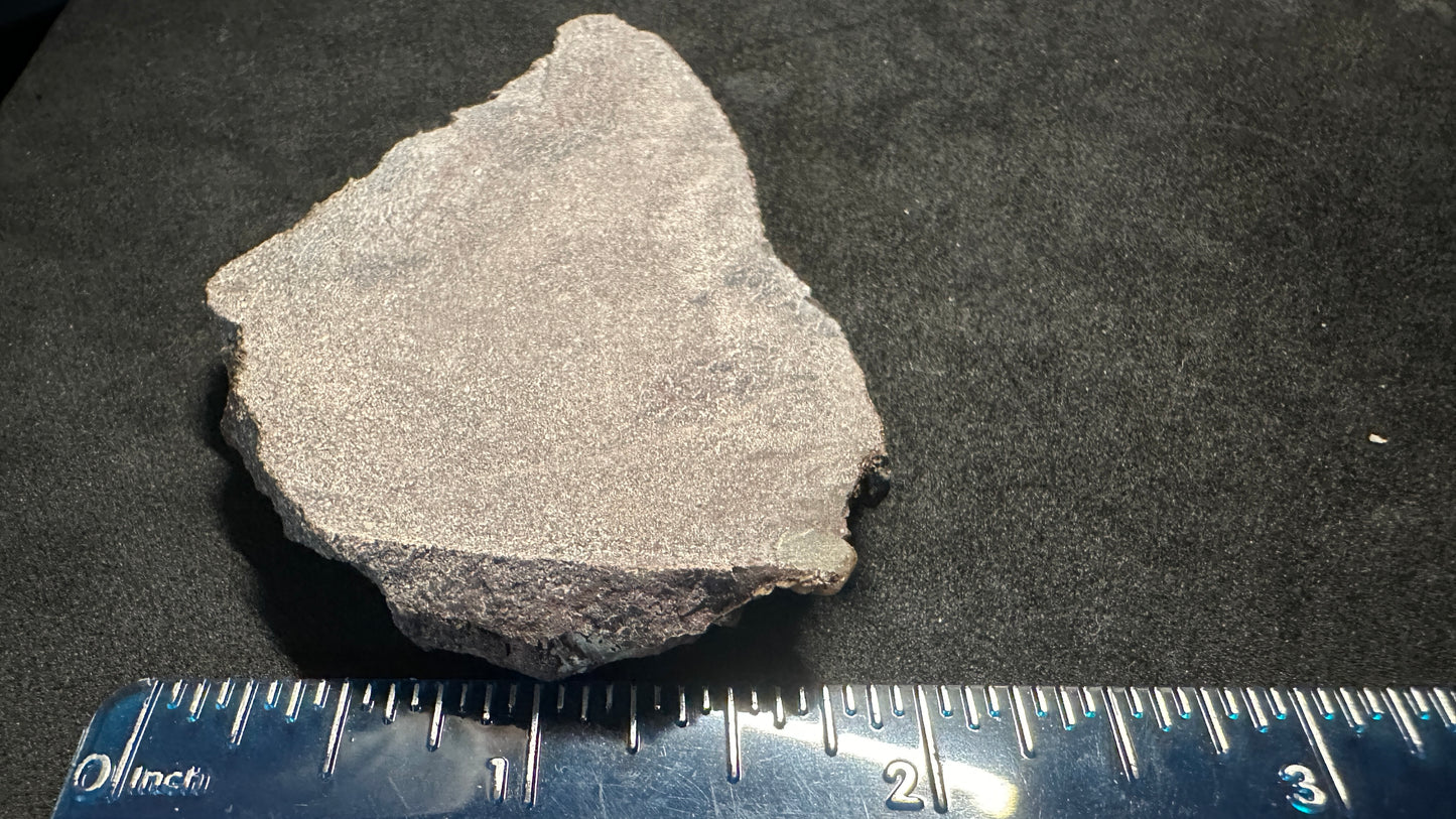 Small Cells Dino Bone Thick Slab