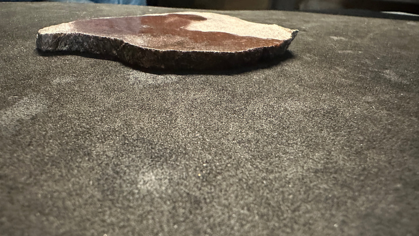 Small Cells Dino Bone Thins Slab