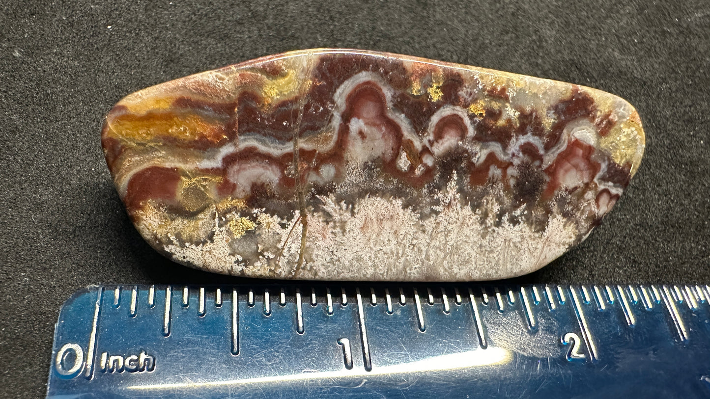 FreeForm Lace Agate Cab