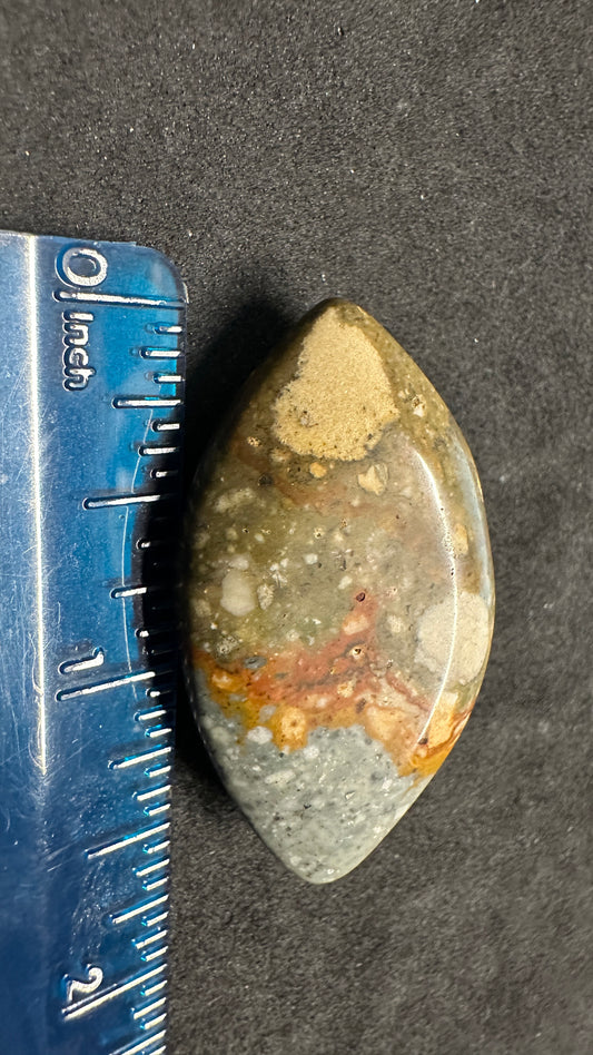 Jasper With Spots Cab