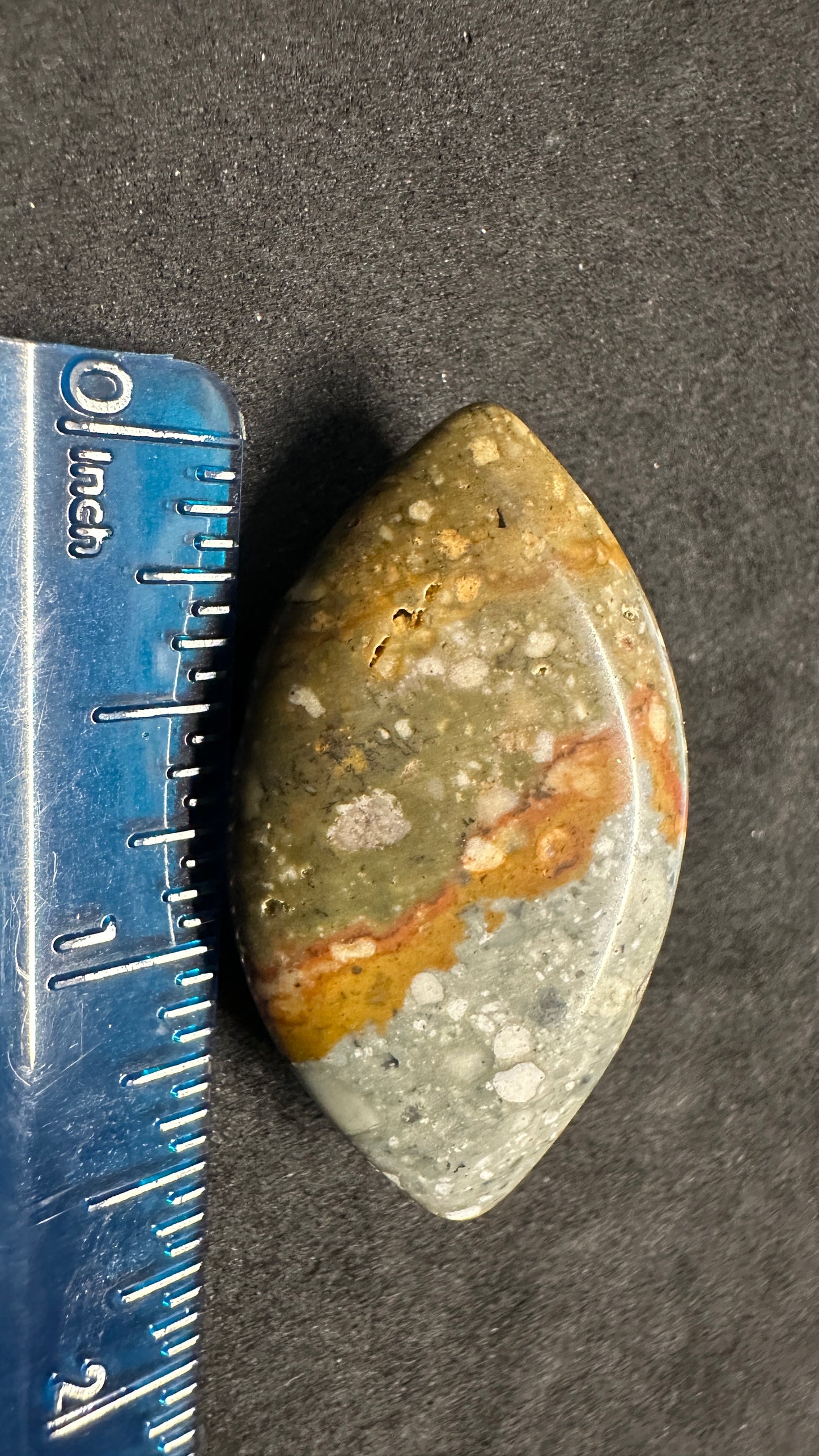 Jasper With Spots Cab