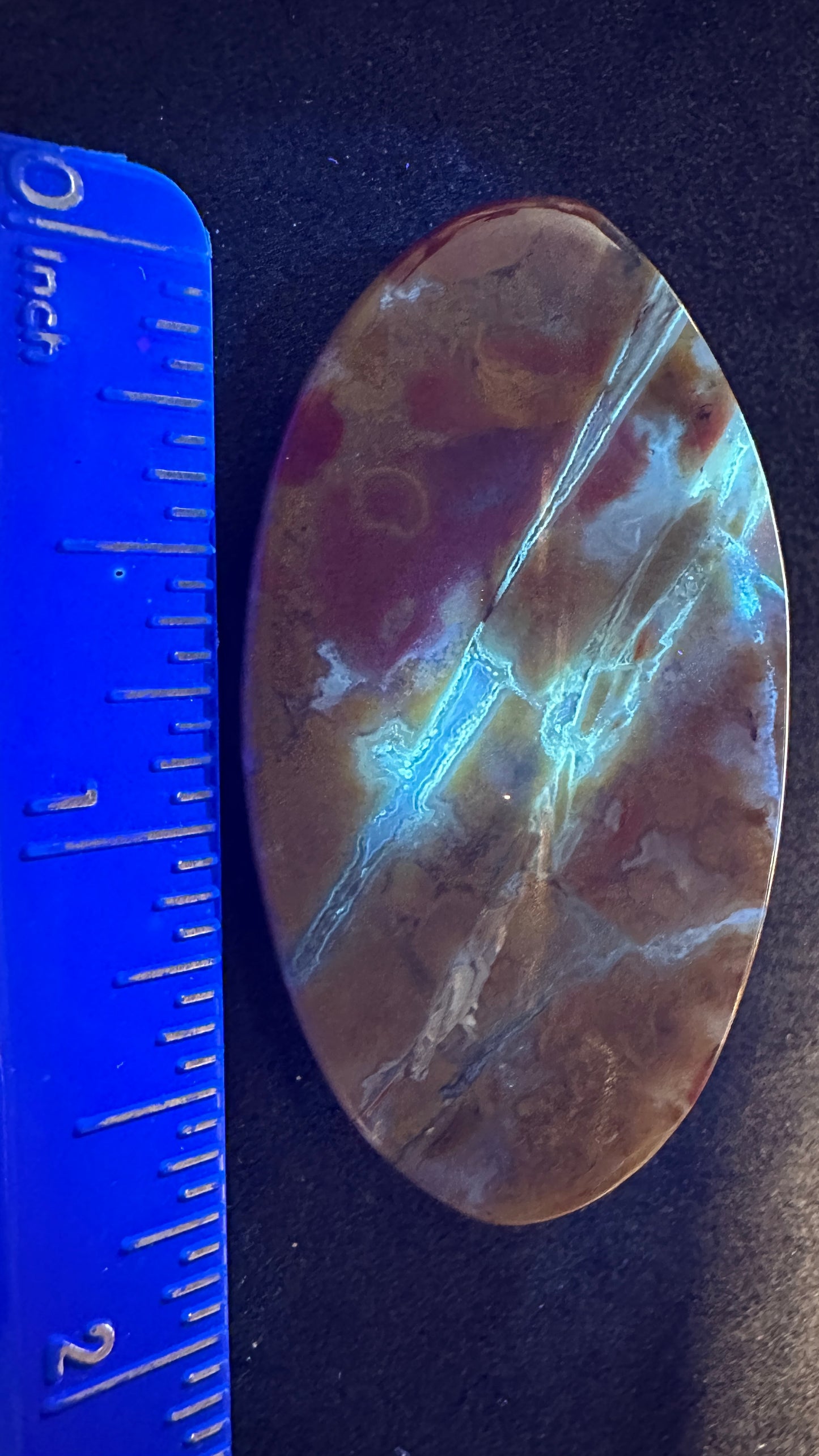 UV Crazy Cab