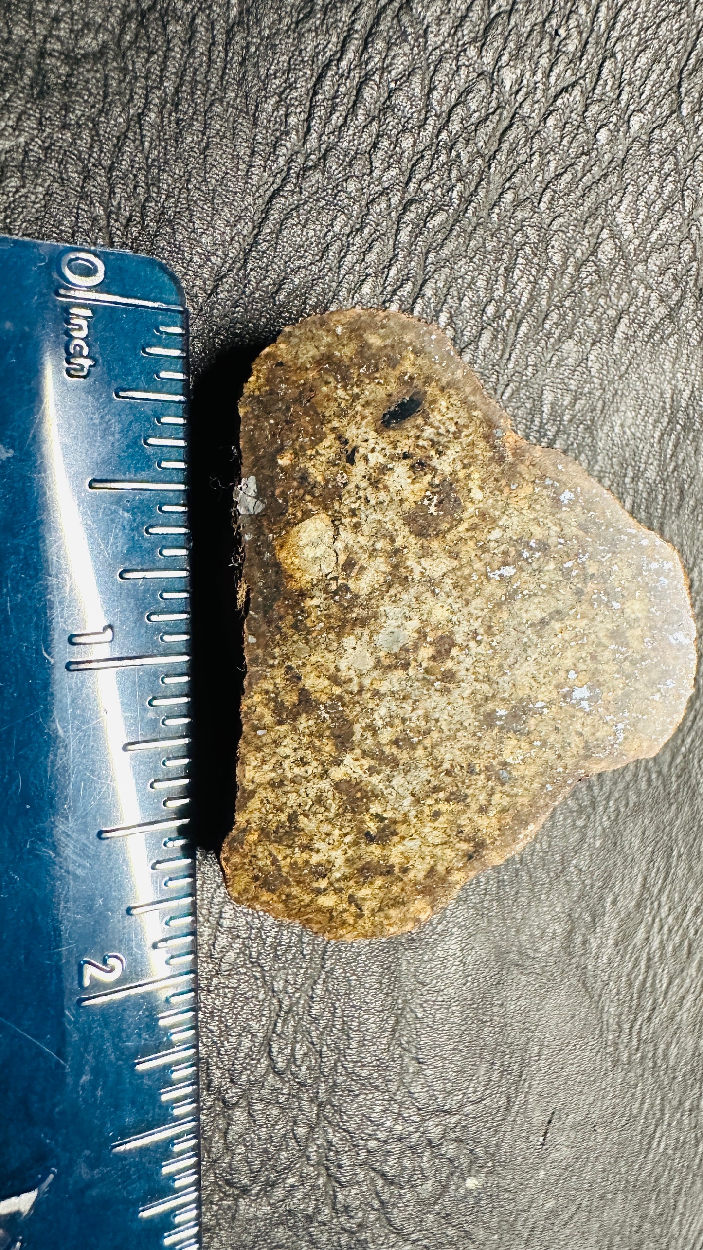 Space Spud Meteorite 28.49g