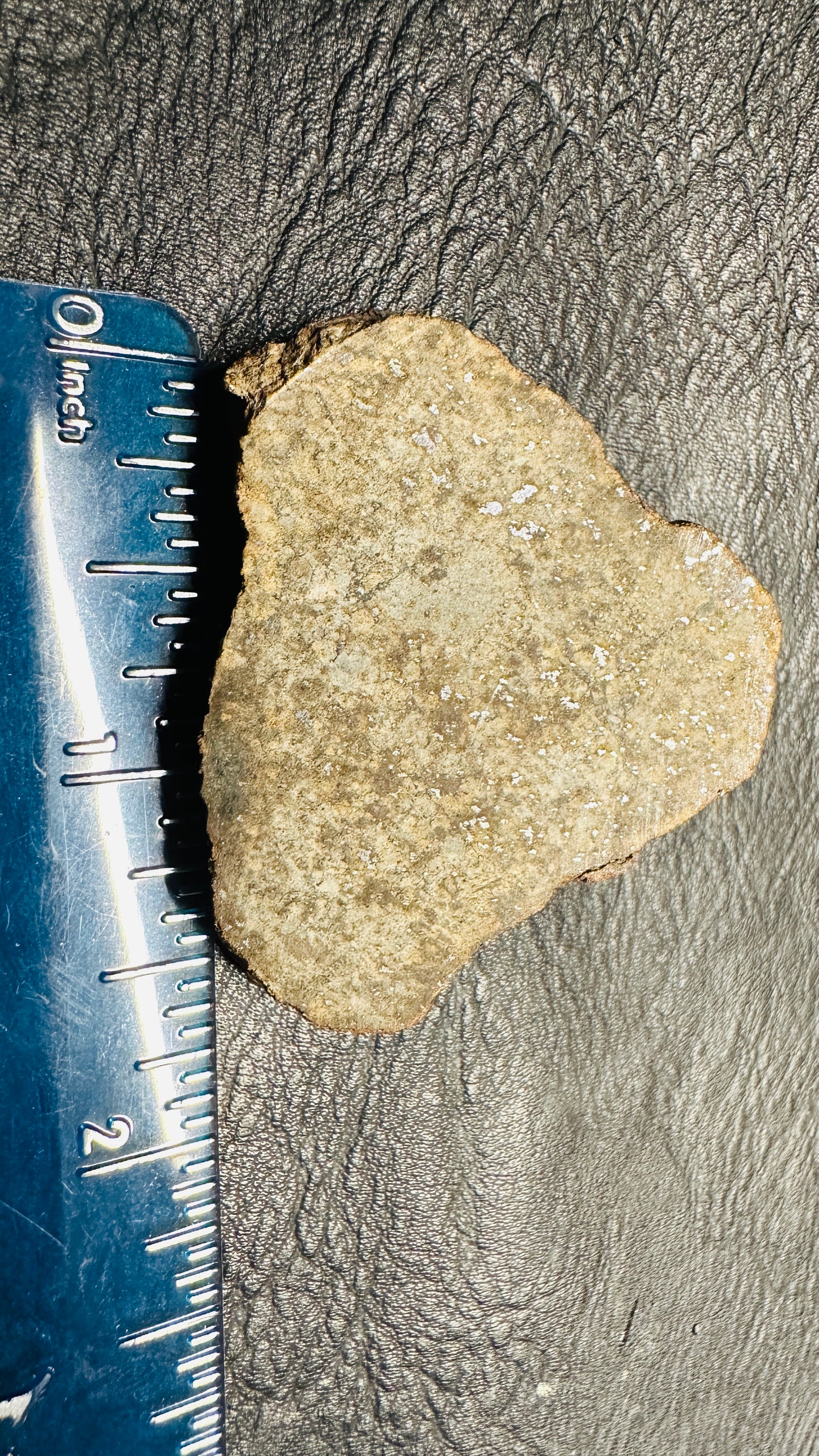 Space Spud Meteorite 28.49g