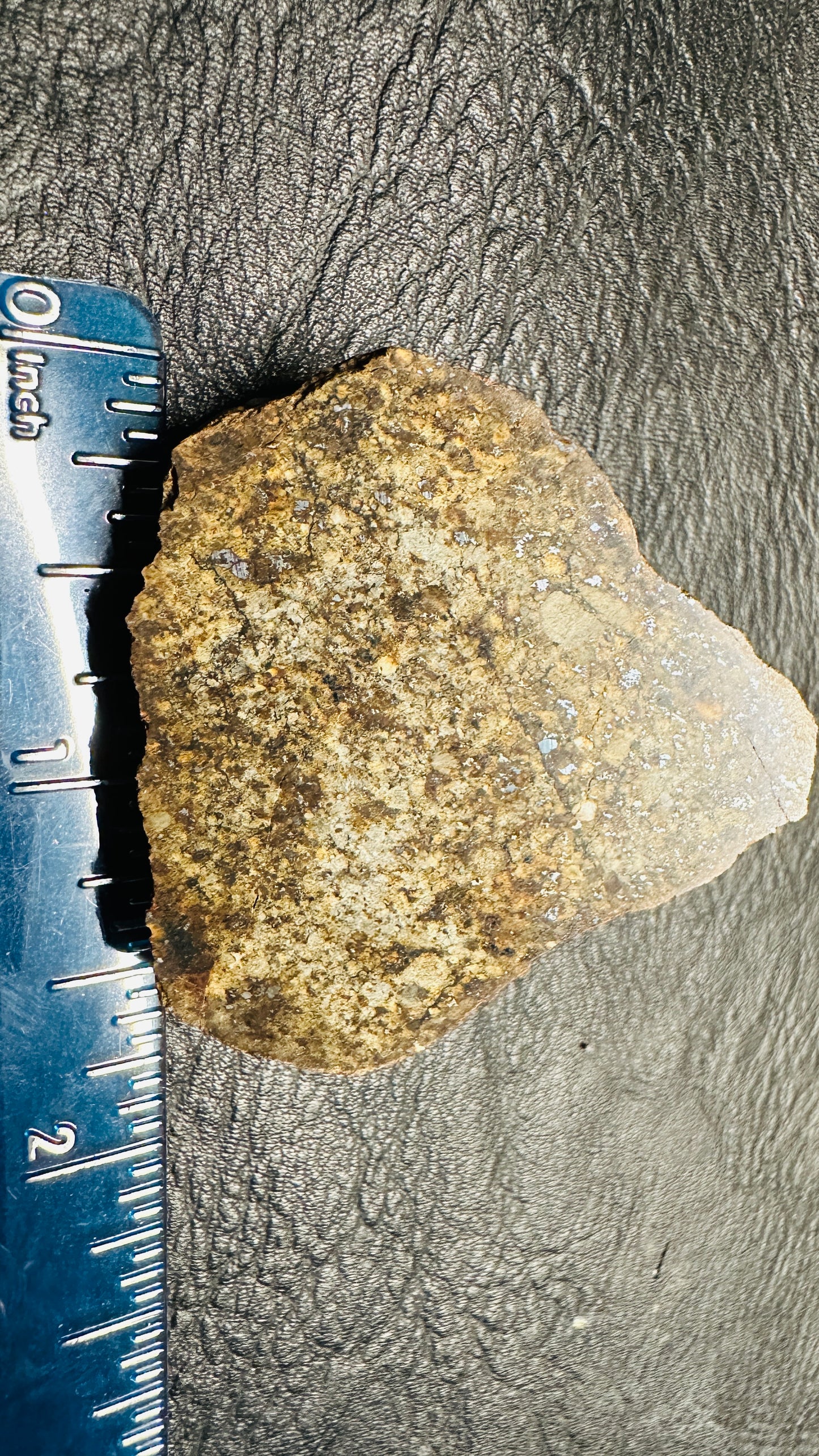 Space Spud Meteorite 31.76