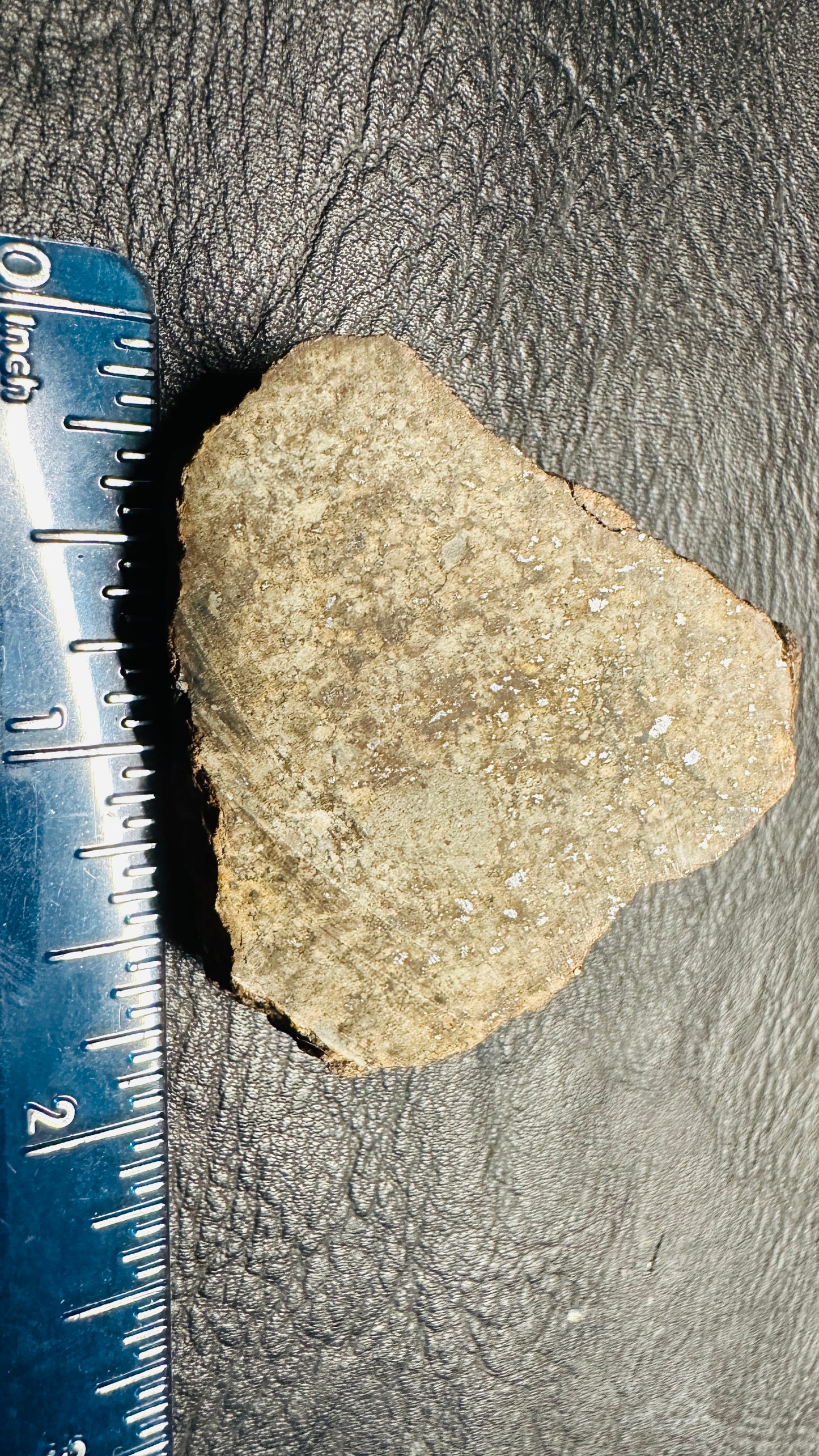Space Spud Meteorite 31.76