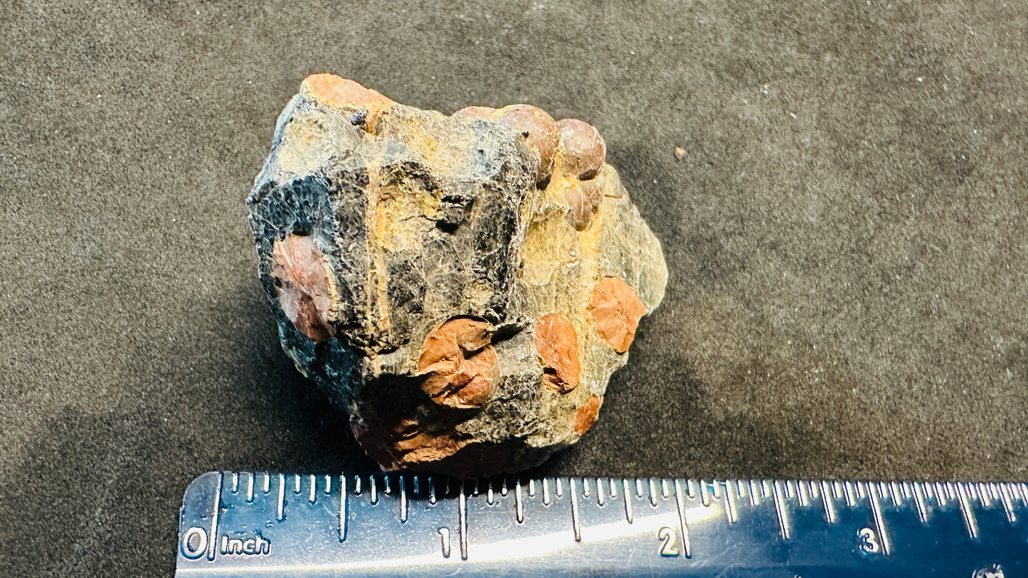 Peanut Obsidian Chunky 3