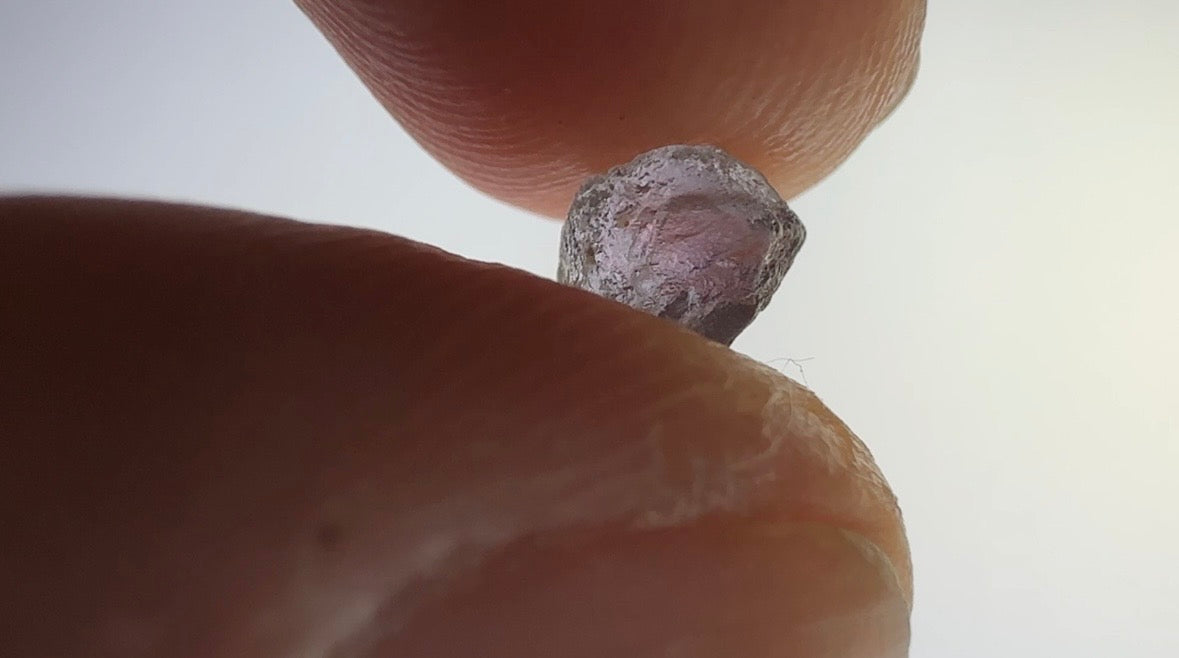 Blue-Purple Montana Sapphire 1.45ct Rough Untreated