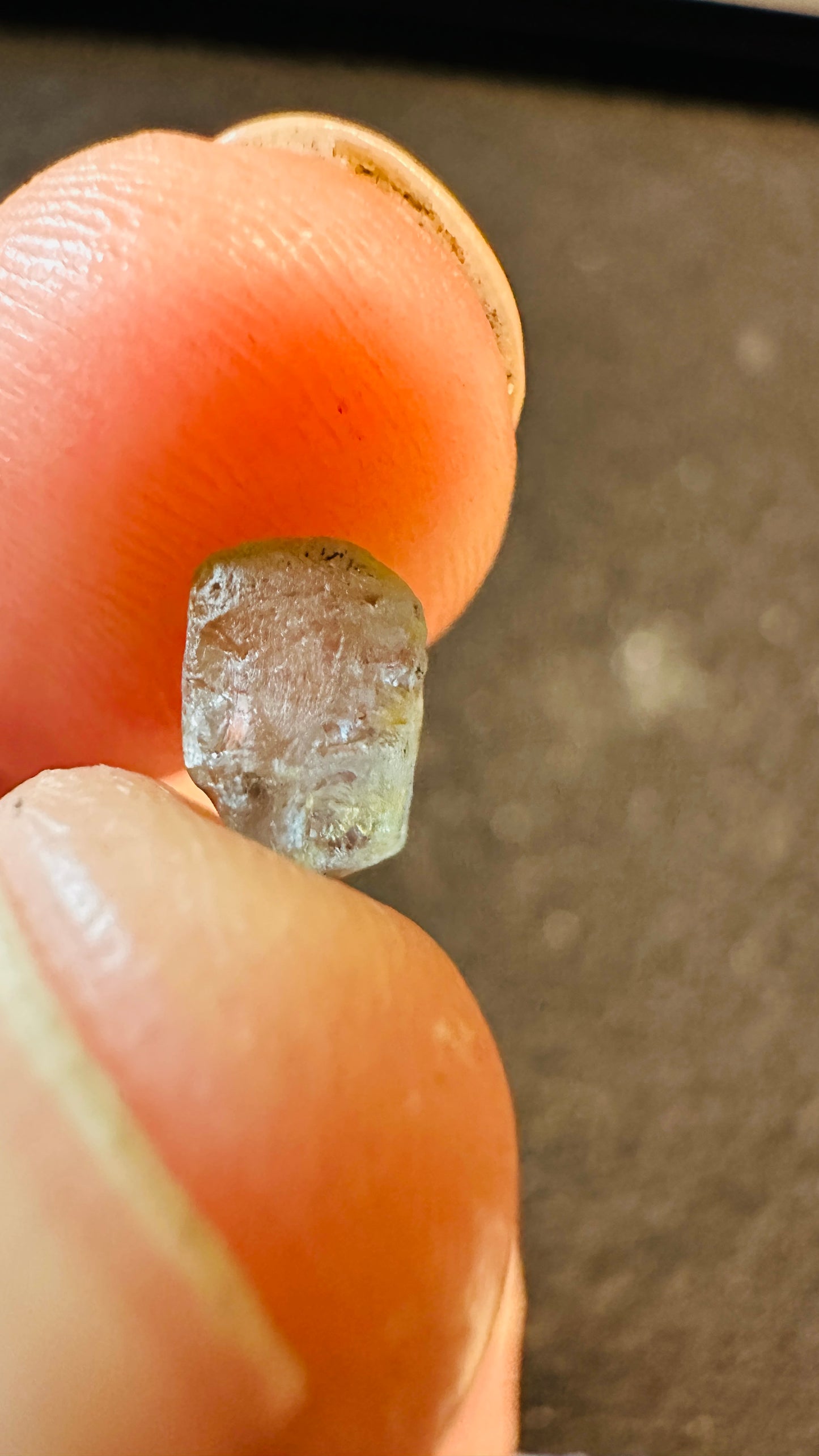 Montana Sapphire 2.10ct Blue Jewell, Rough and Untreated