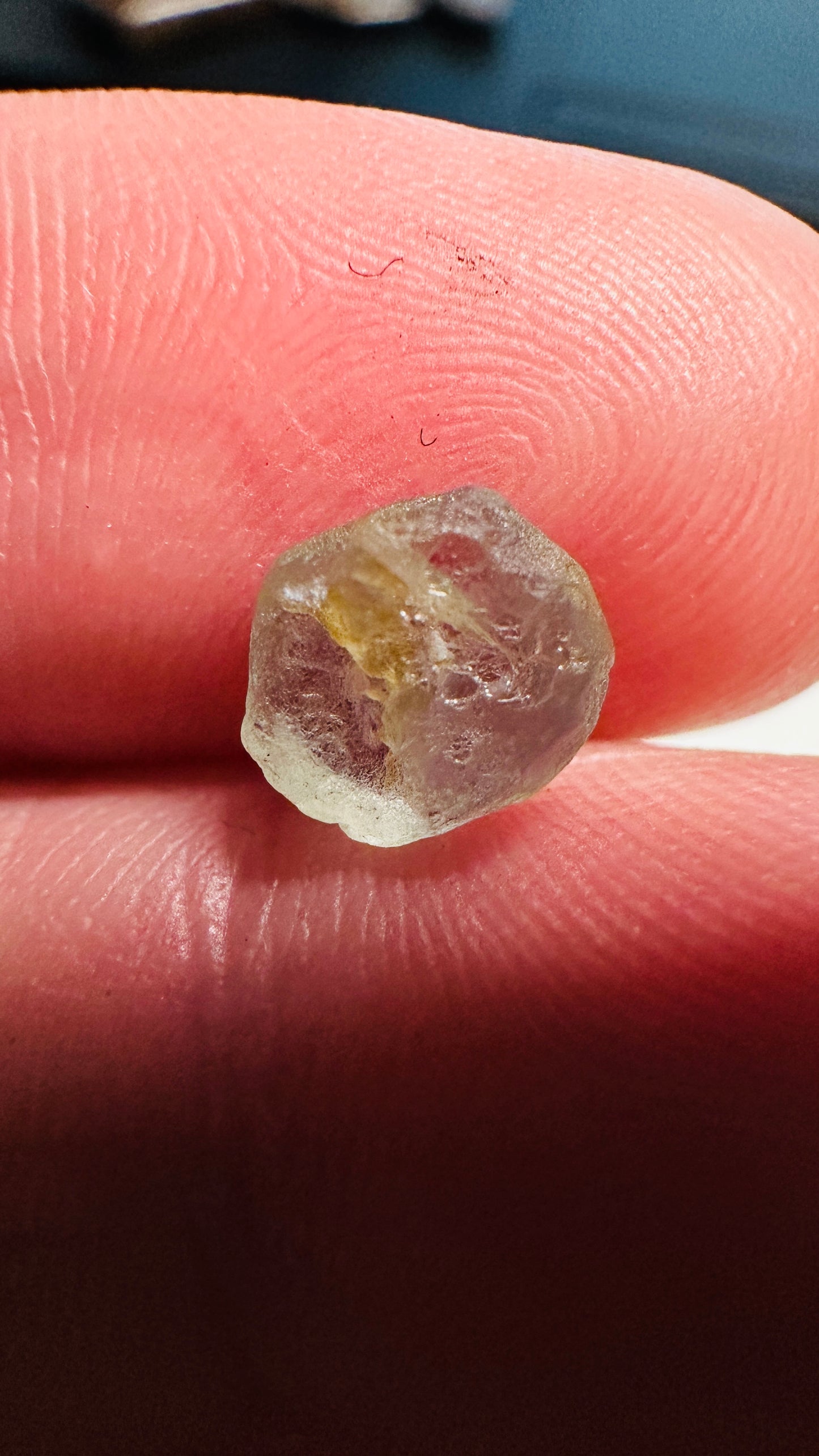 Montana Sapphire, Blu Jewel, 1.75 ct