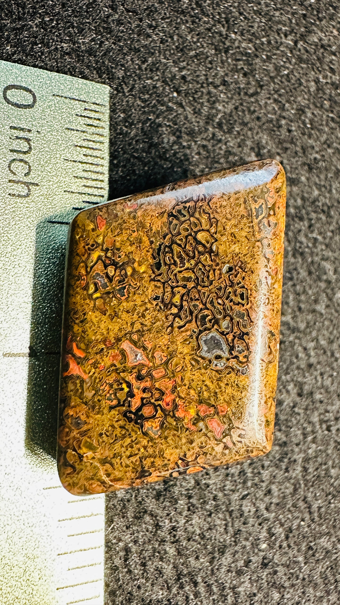 Gem Dinosaur Bone Cab – Double-Sided, High-Contrast Red & Metallic Matrix