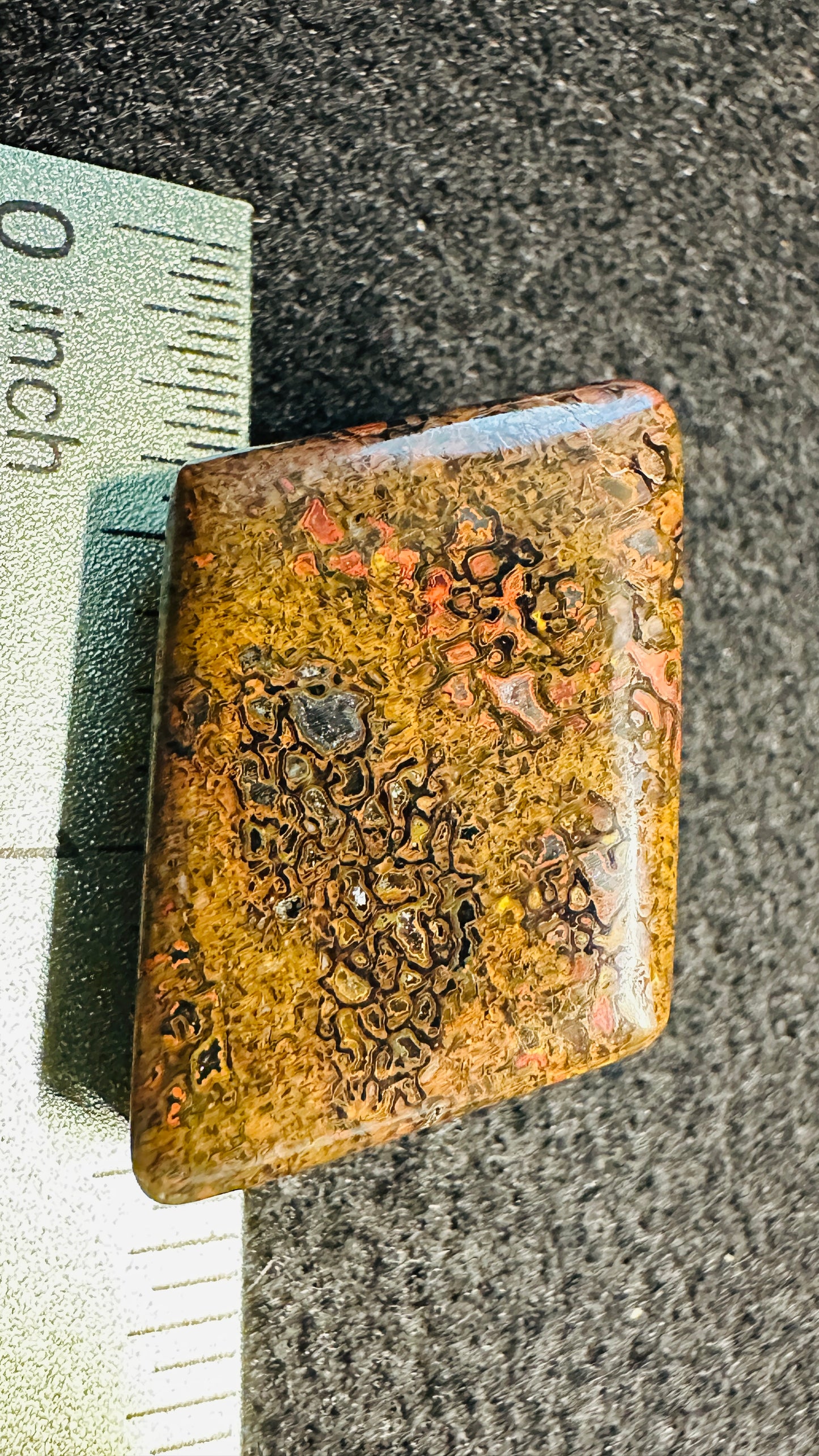 Gem Dinosaur Bone Cab – Double-Sided, High-Contrast Red & Metallic Matrix