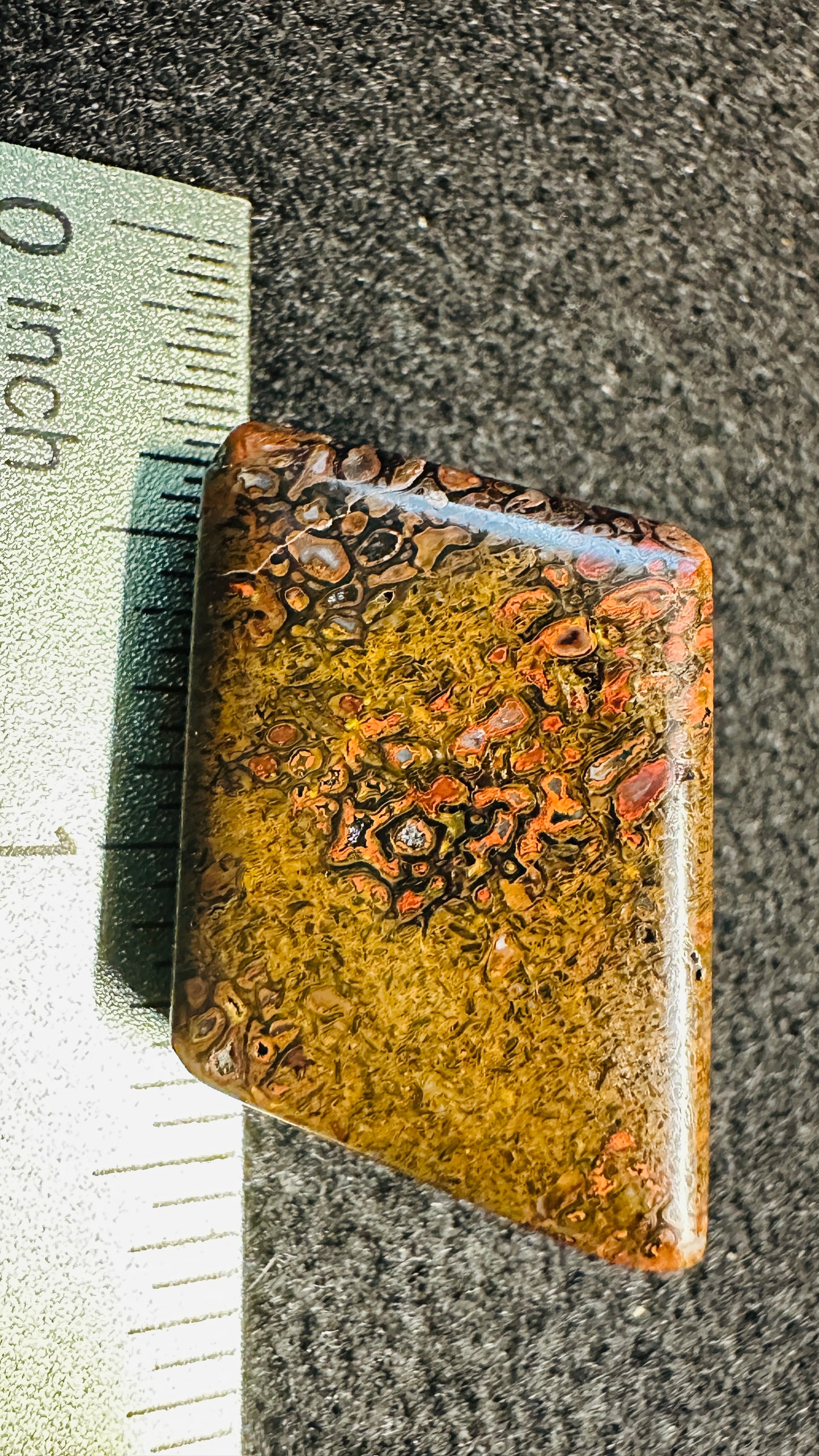 Gem Dinosaur Bone Cab – Double-Sided, High-Contrast Red & Metallic Matrix