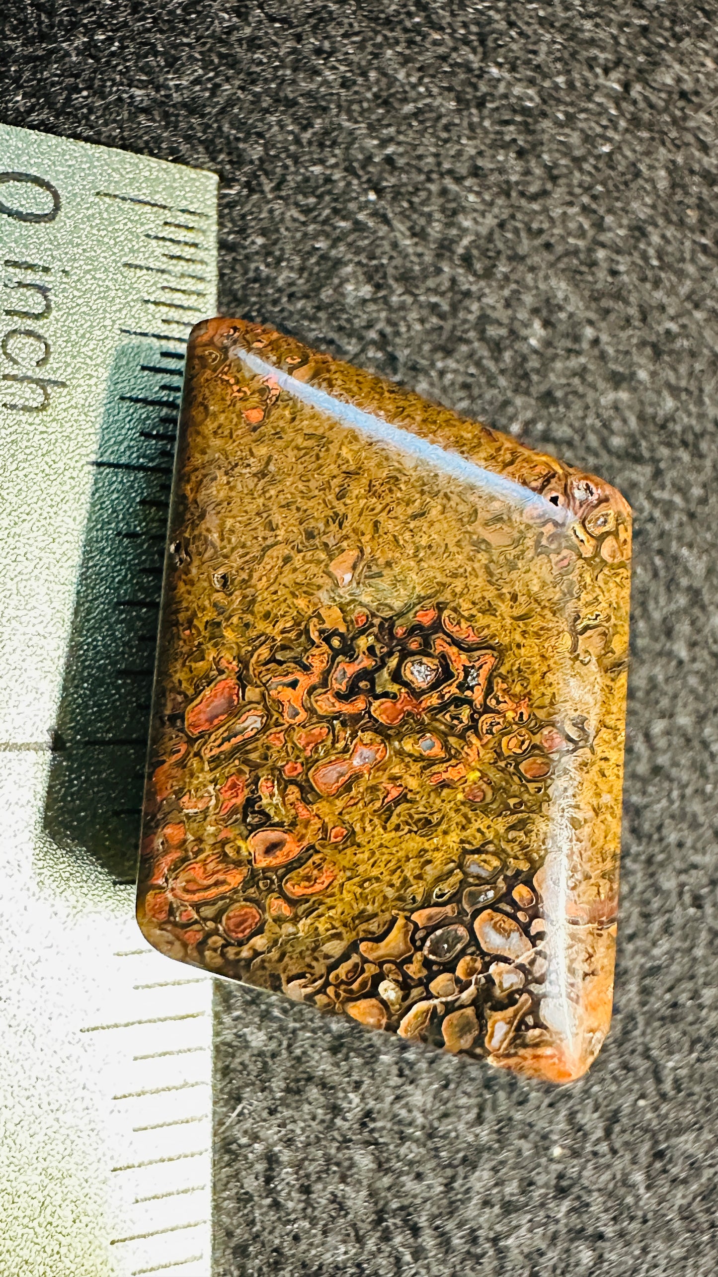 Gem Dinosaur Bone Cab – Double-Sided, High-Contrast Red & Metallic Matrix