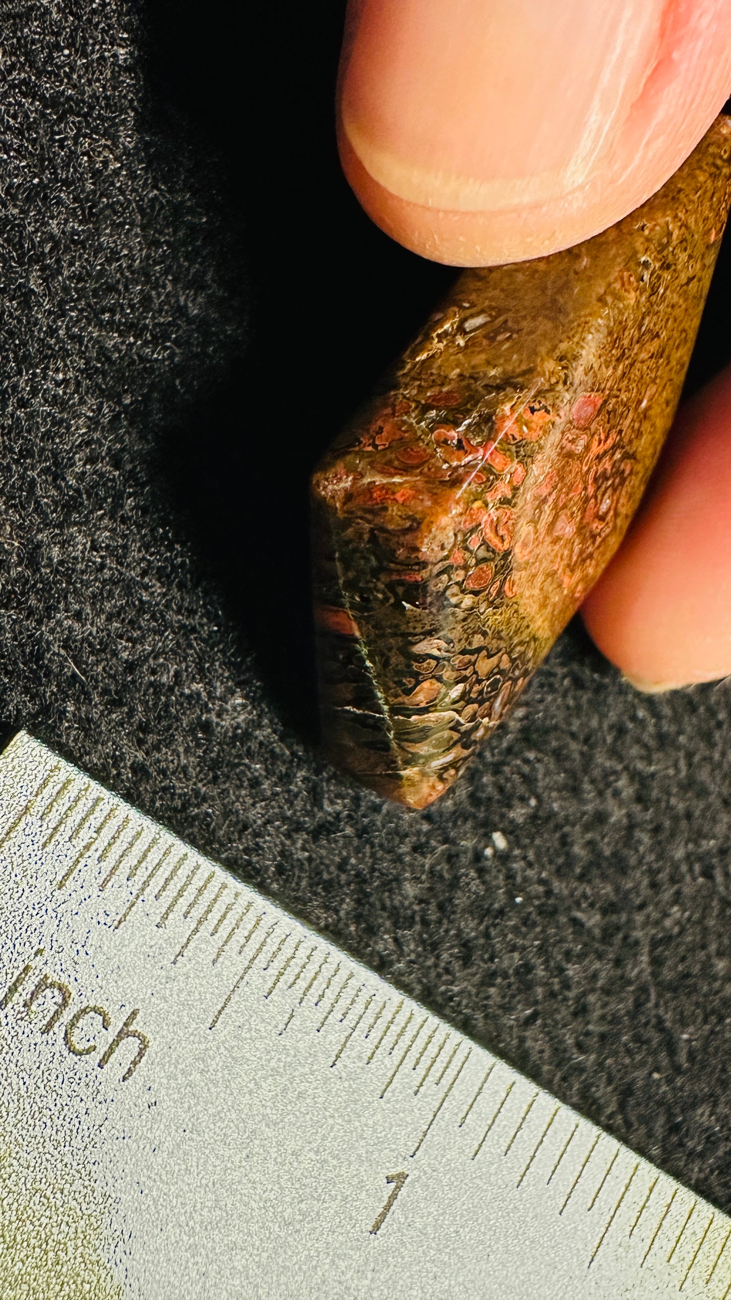 Gem Dinosaur Bone Cab – Double-Sided, High-Contrast Red & Metallic Matrix