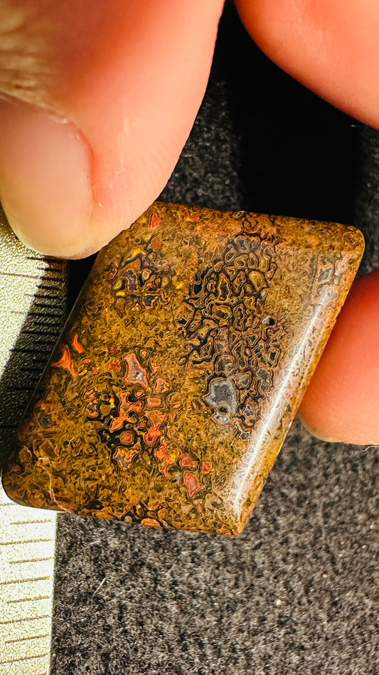 Gem Dinosaur Bone Cab – Double-Sided, High-Contrast Red & Metallic Matrix