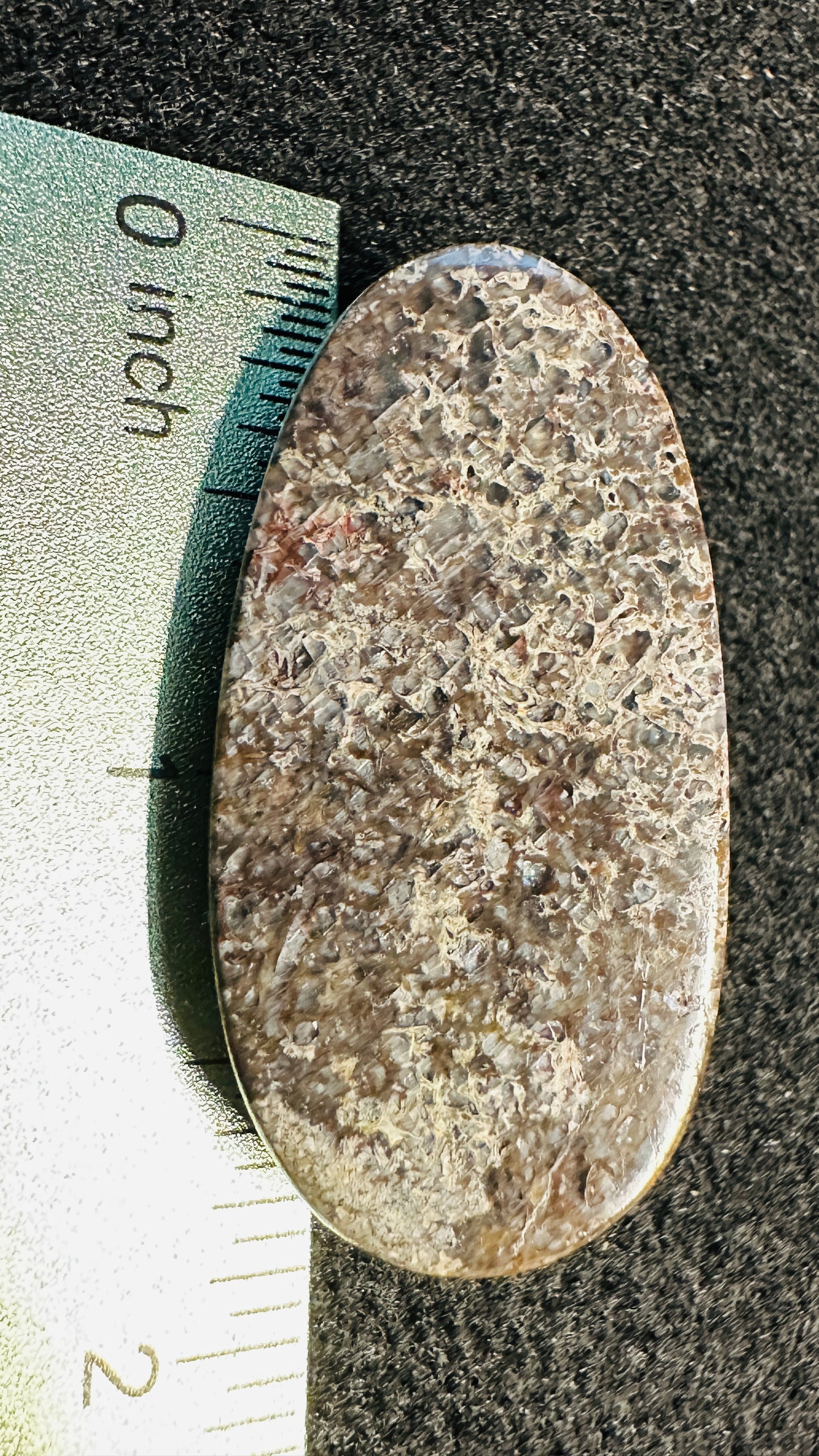 Dino Bone, The Sunlight Flash Oval Cab