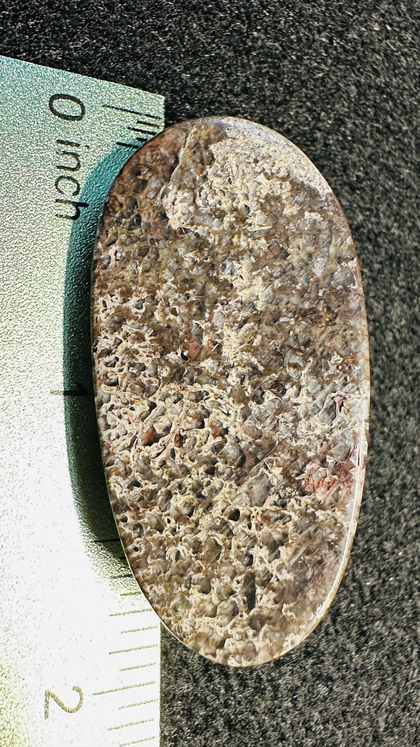 Dino Bone, The Sunlight Flash Oval Cab