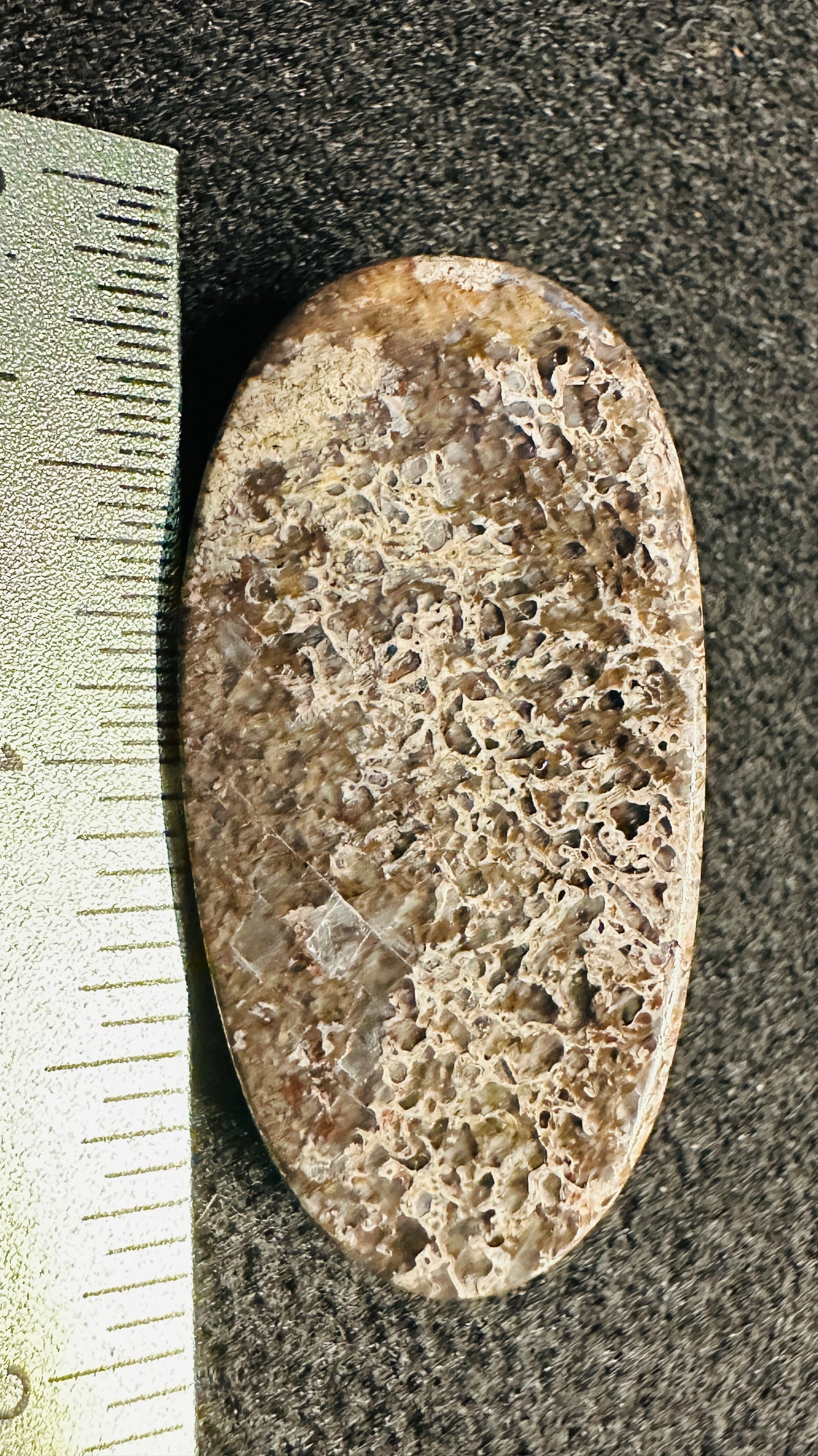Dino Bone, The Sunlight Flash Oval Cab