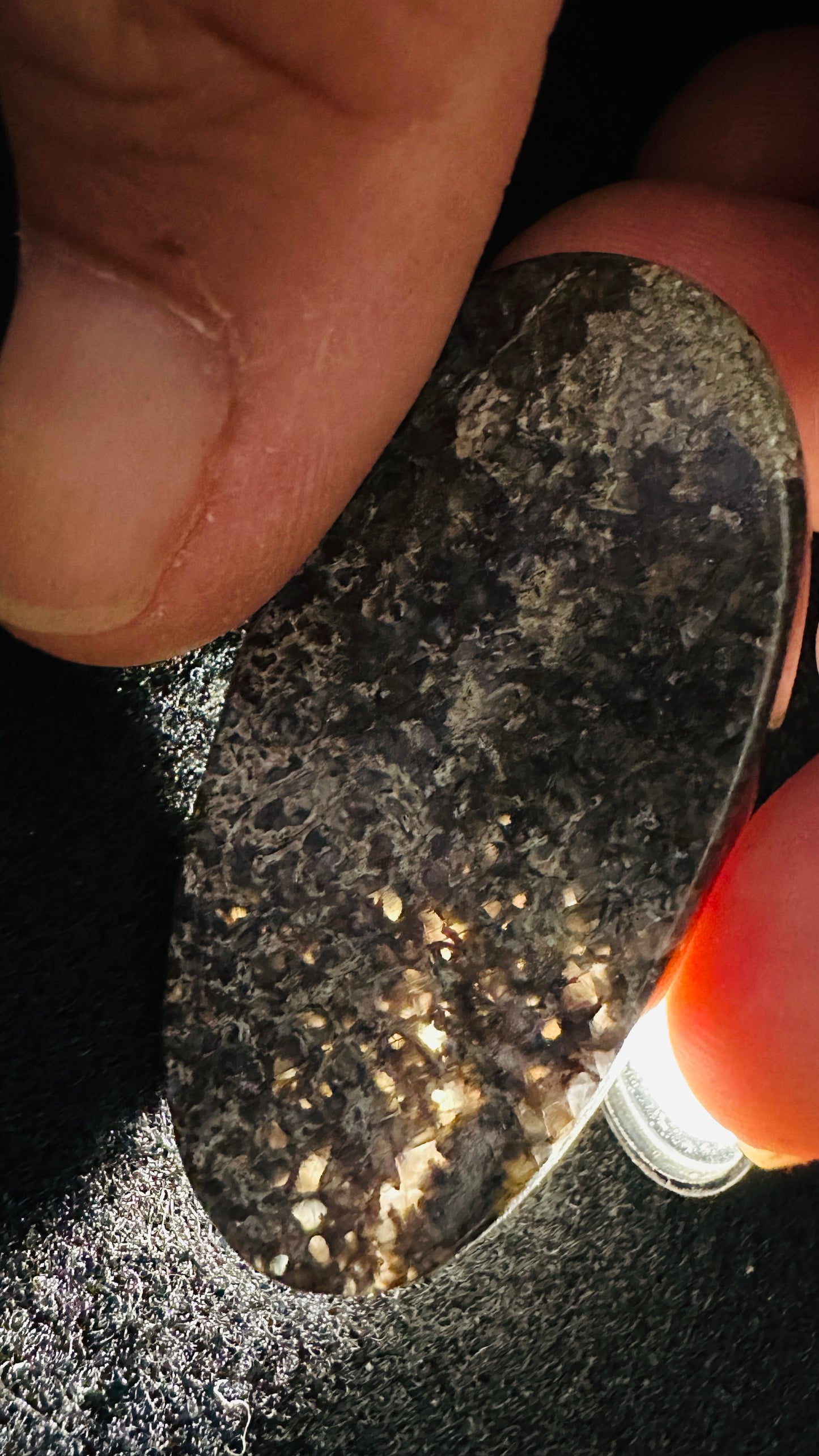 Dino Bone, The Sunlight Flash Oval Cab