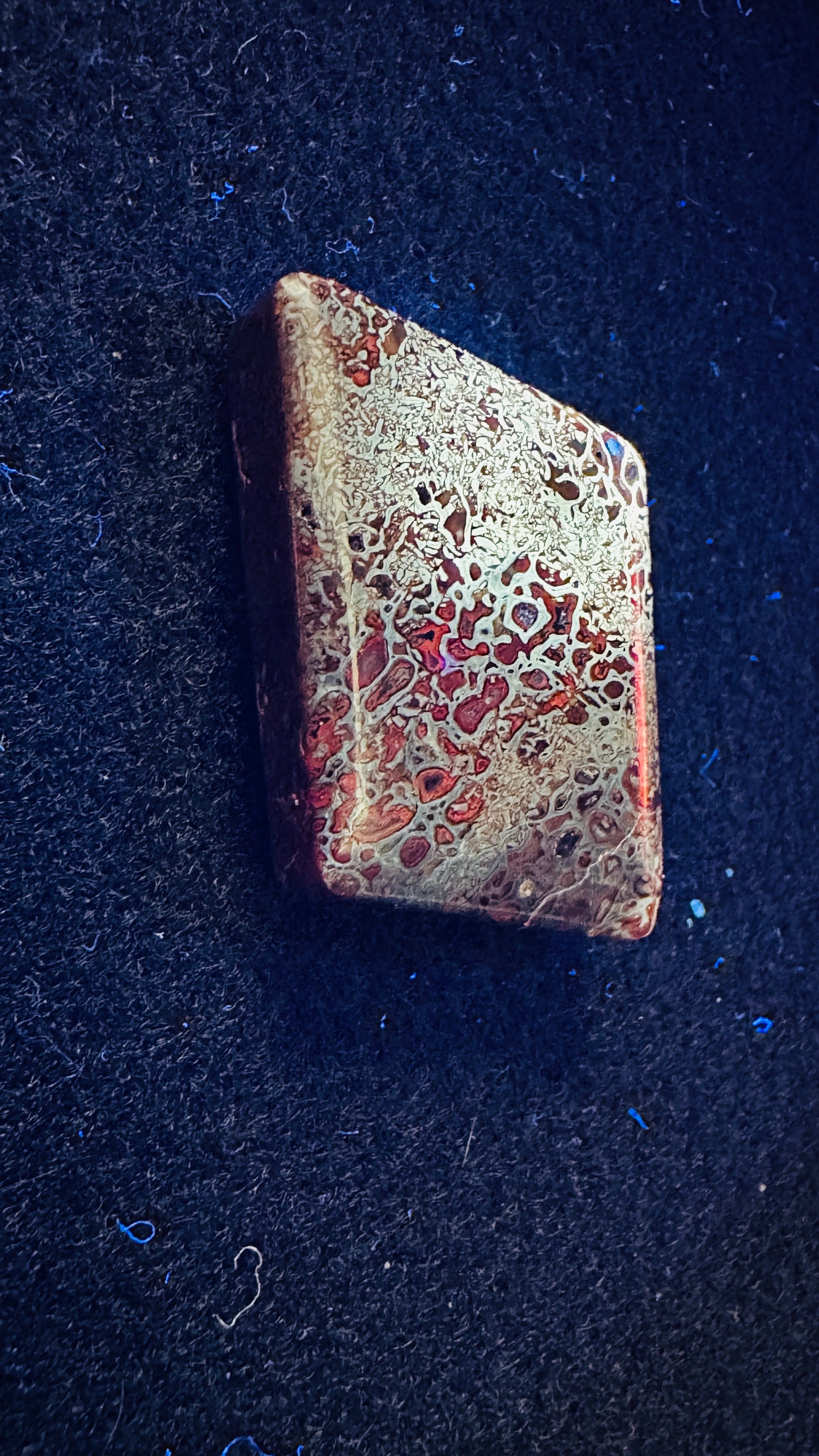 Gem Dinosaur Bone Cab – Double-Sided, High-Contrast Red & Metallic Matrix