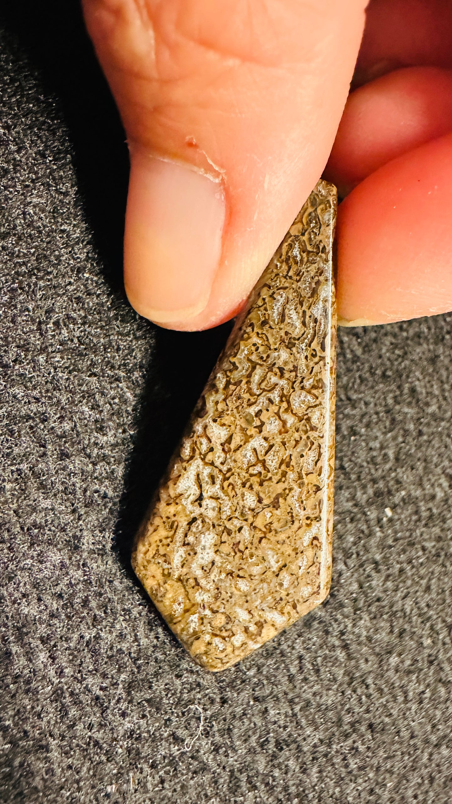 Dino Bone Kite Shaped Cab
