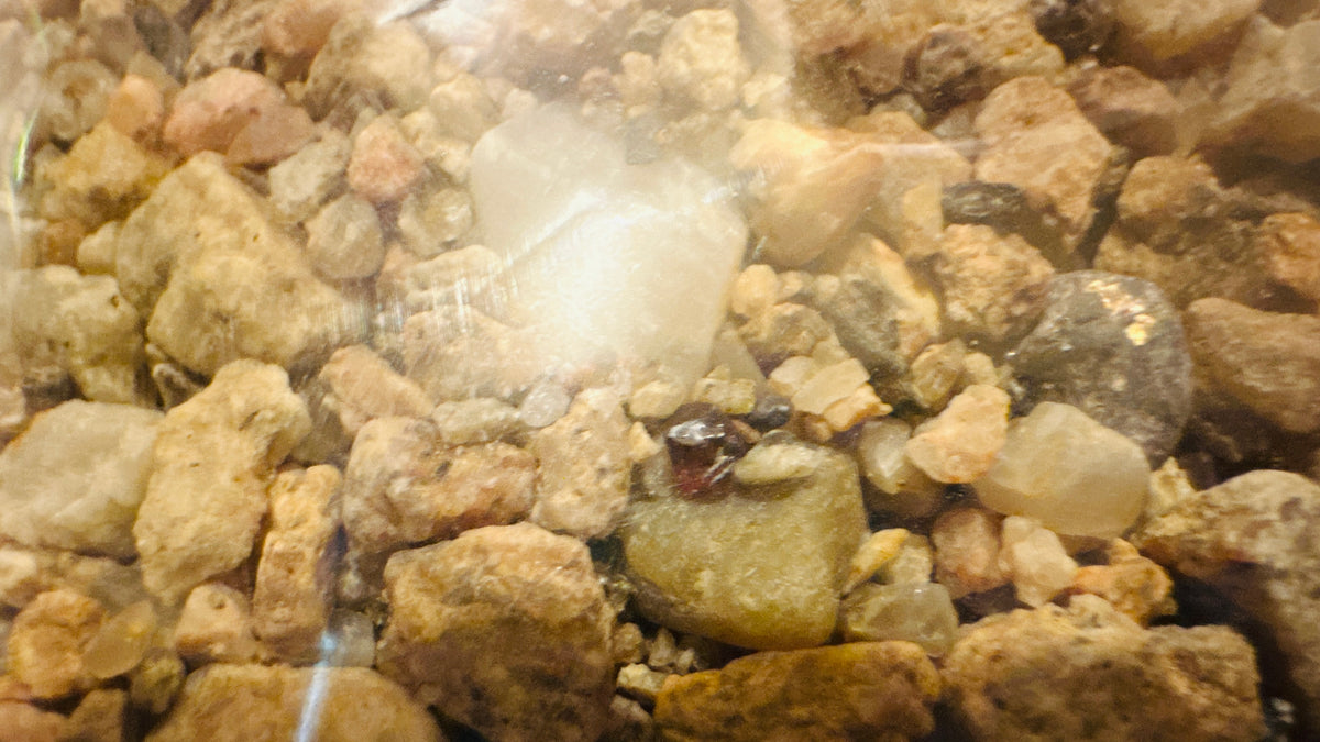 Montana Ruby Reservoir Garnet Paydirt - Discovery Size (Small) Bag- Regular Sift